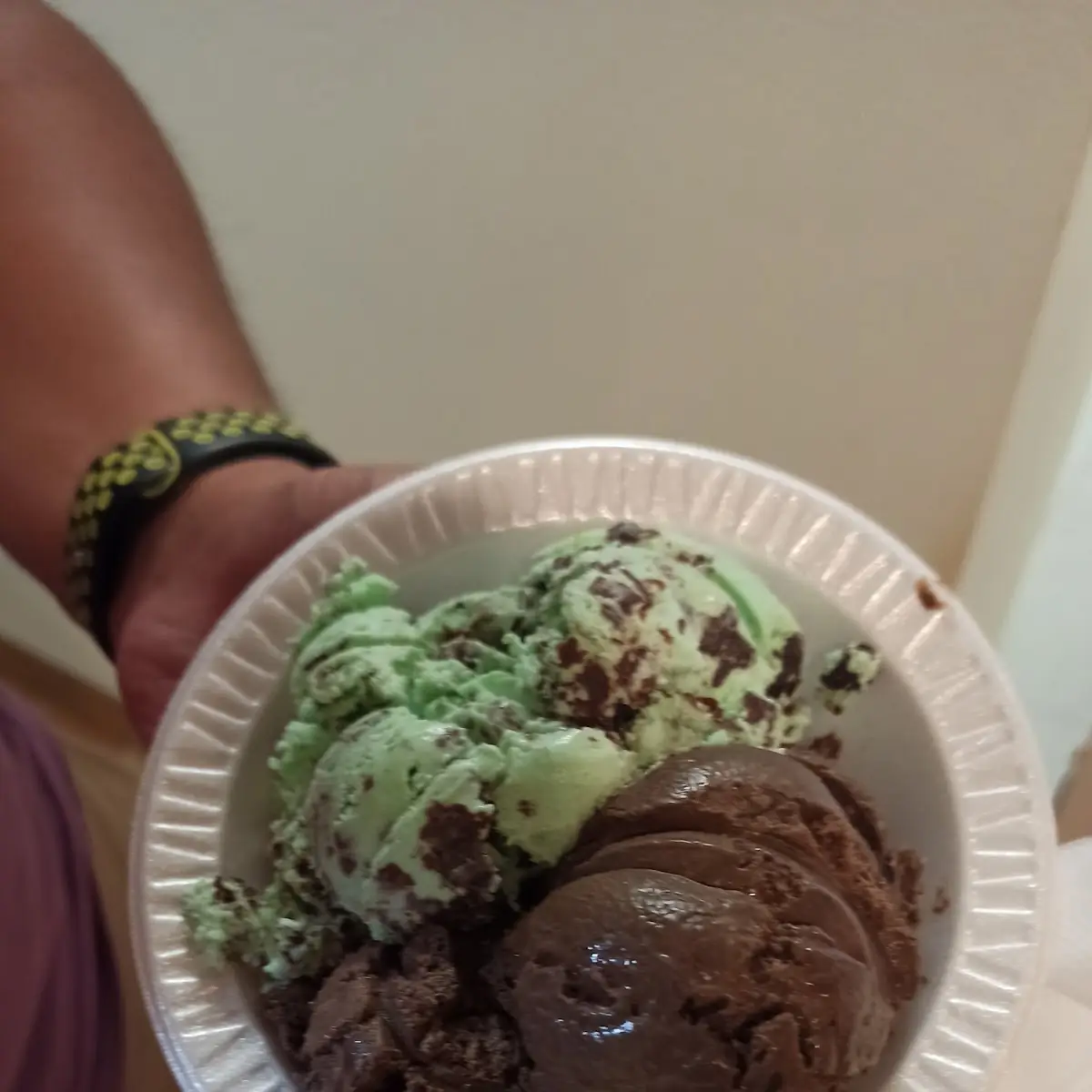 Chocolate and Mint Ice Cream