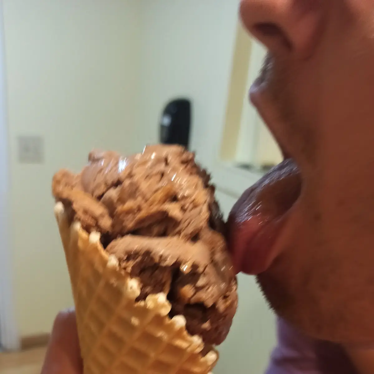 Peanut Butter Chocolate Chip