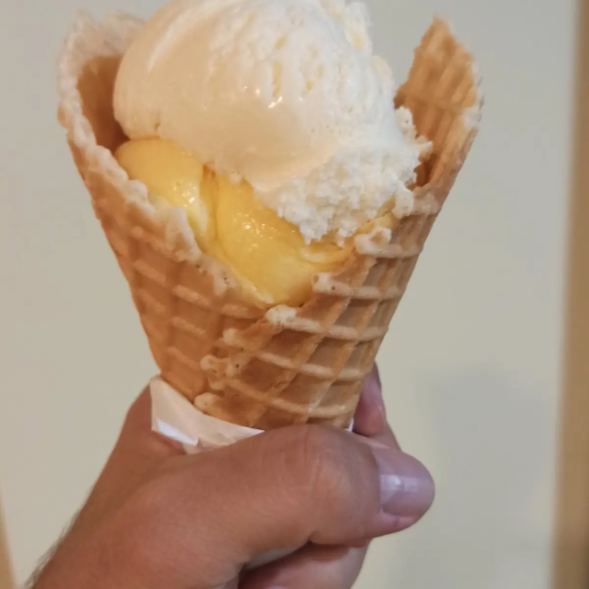 Vanilla Ice Cream and Mango Sorbet