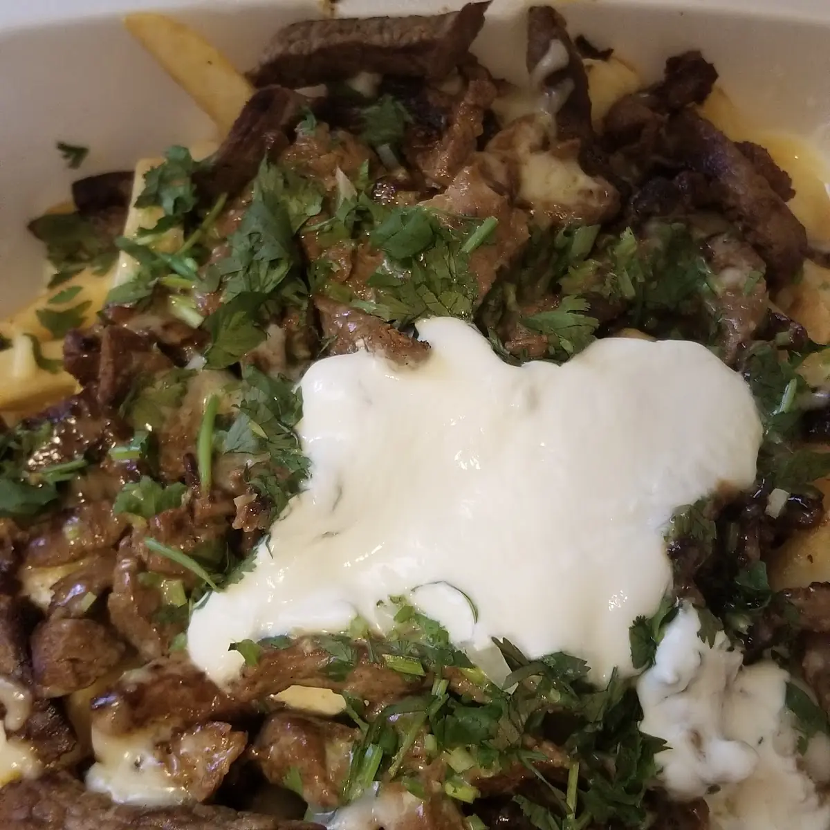 Carne Asada Fries