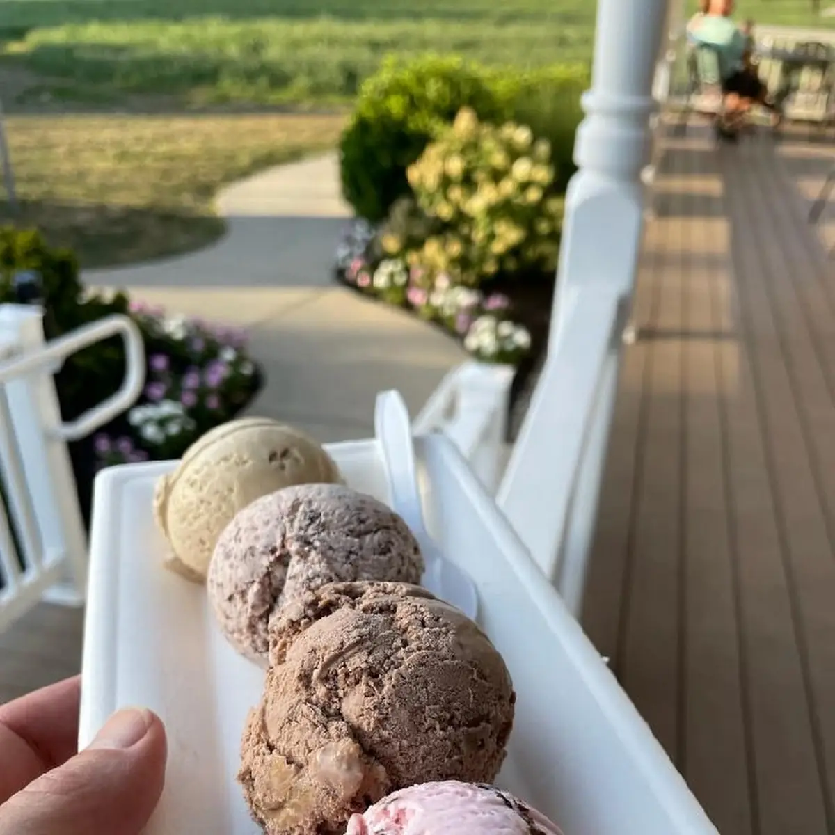 Ice Cream Sampler Platter