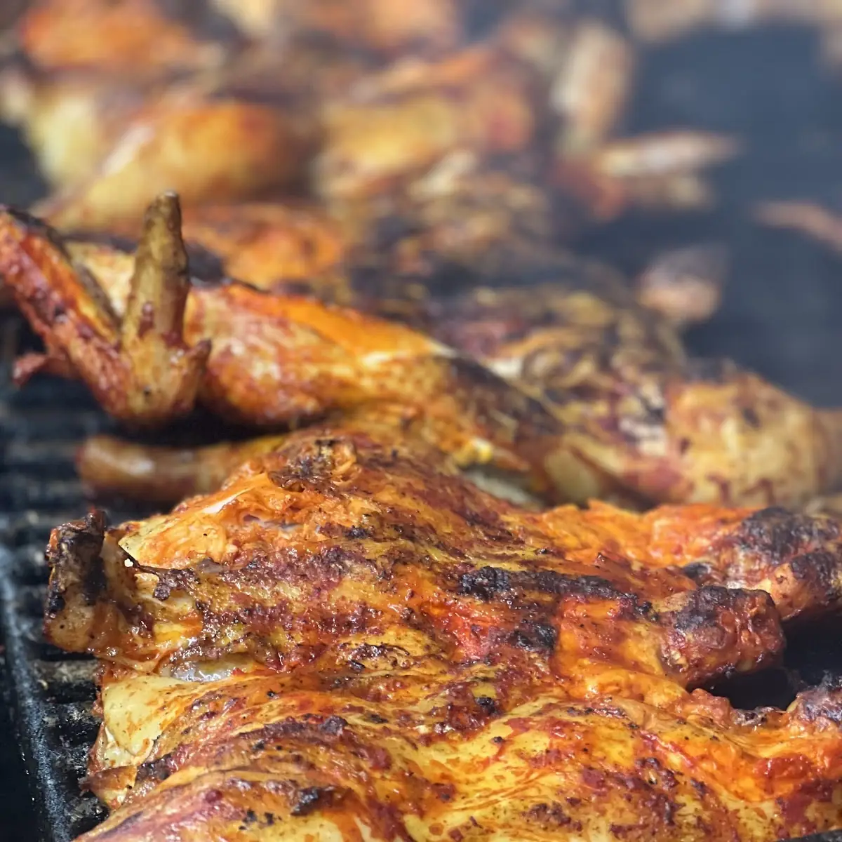 Solo Pollo Asado Plain Rosted Chicken
