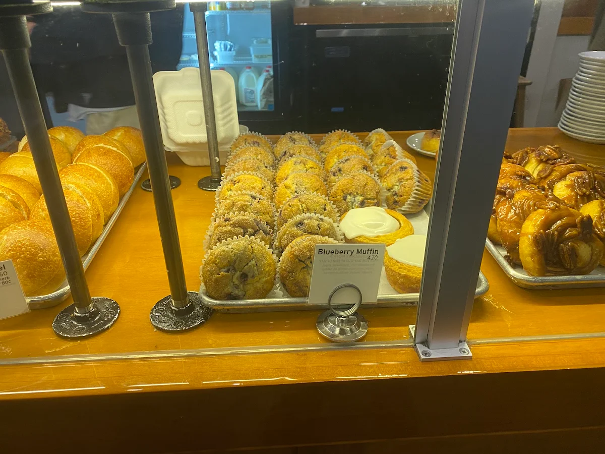 Blueberry Muffin