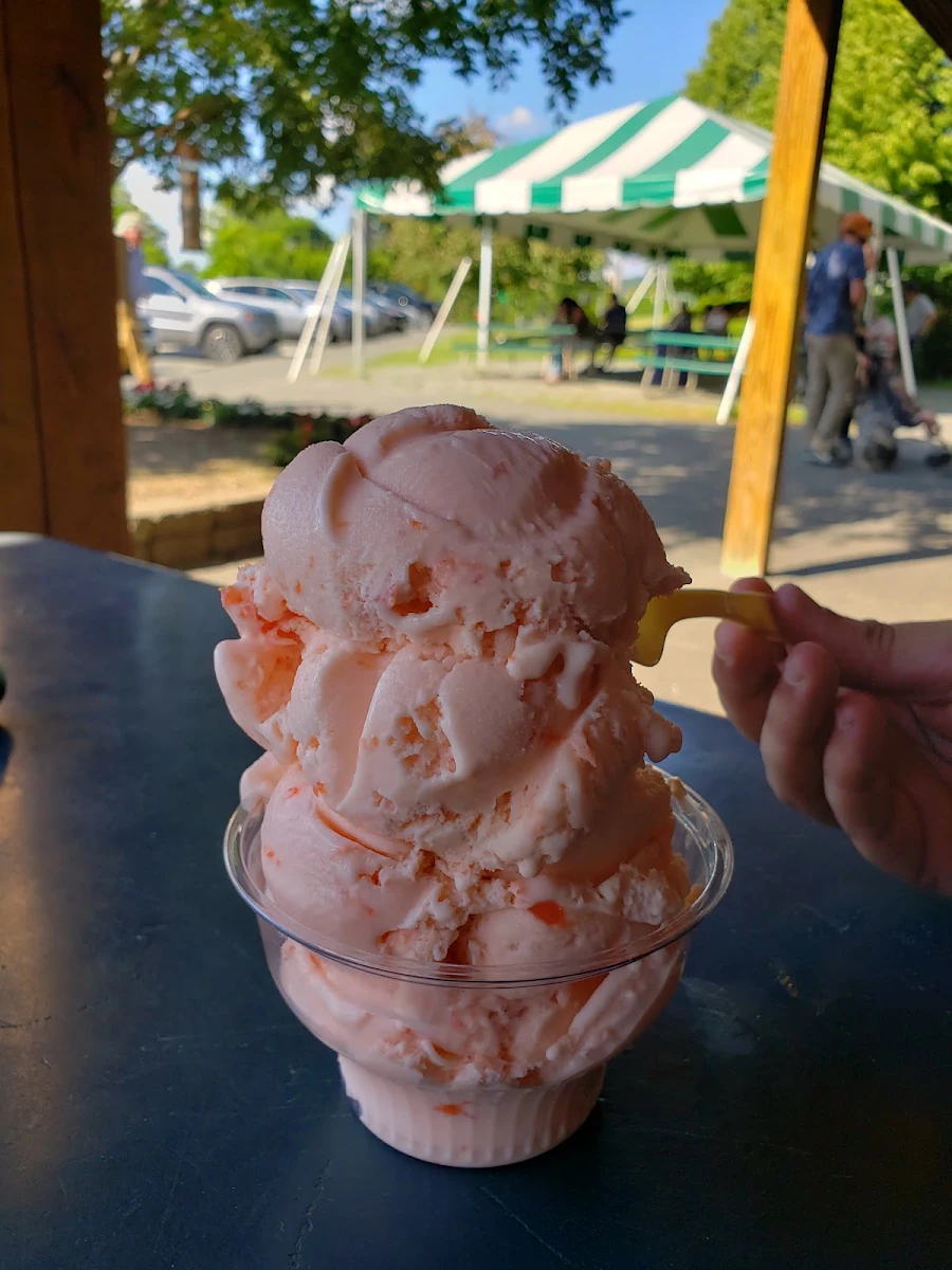 Strawberry Ice Cream