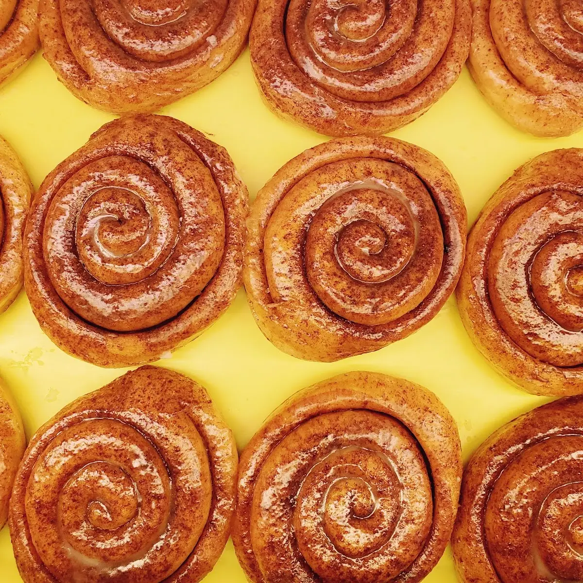 Cinnamon Roll
