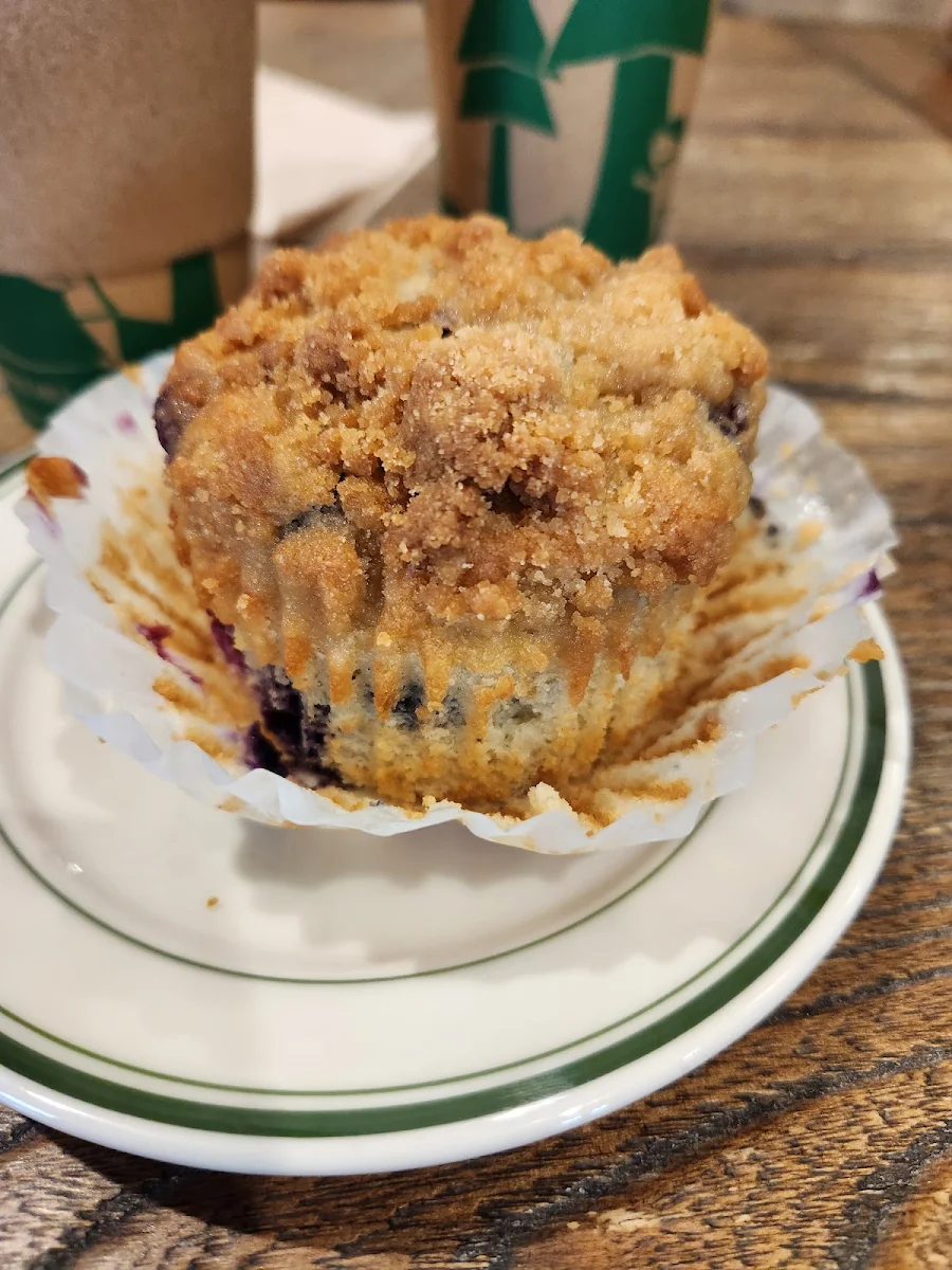 Blueberry Muffin