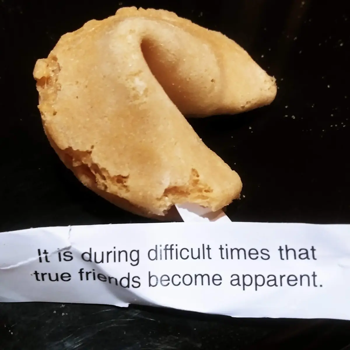 Fortune Cookie