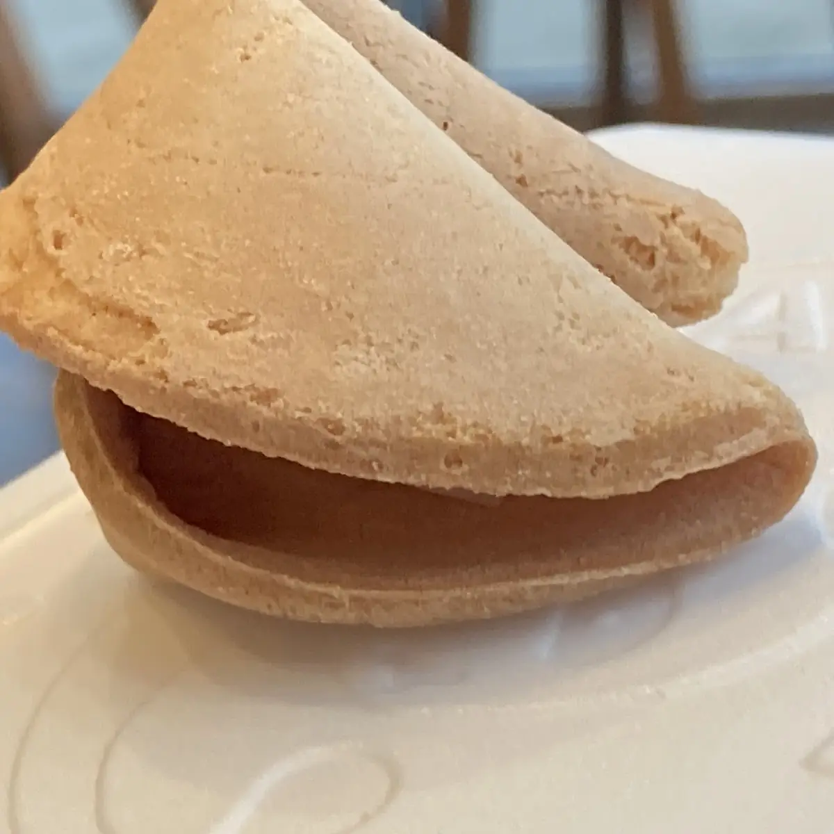 Fortune Cookies
