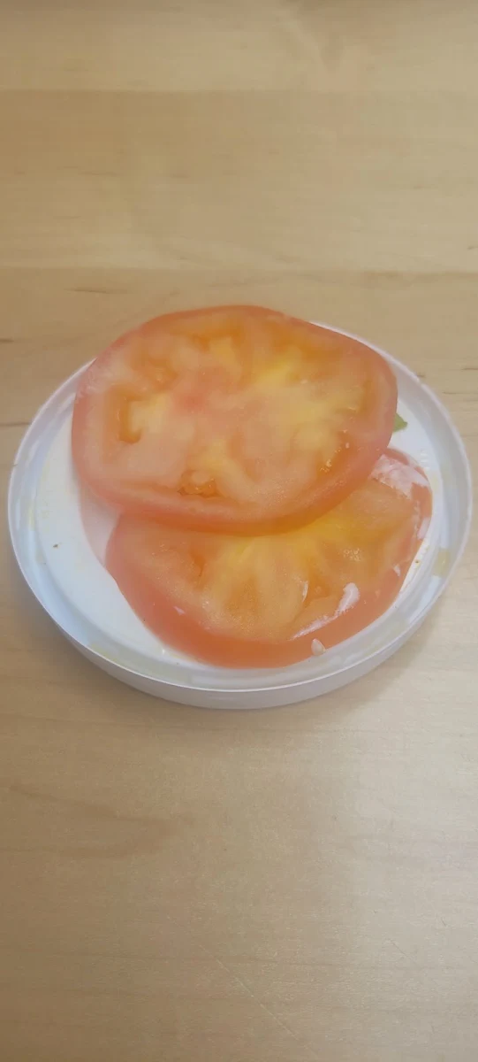 Tomato