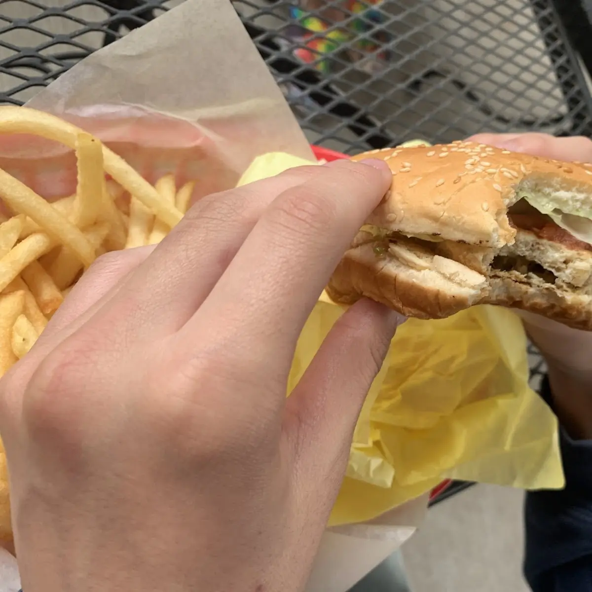 Grilled Chicken and Fries