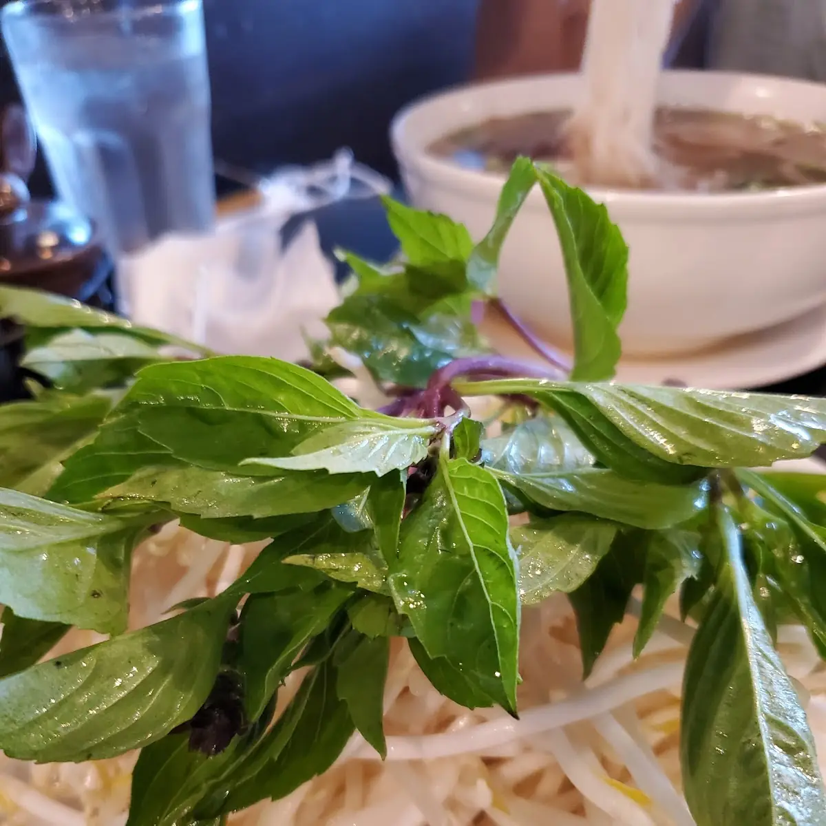 Thai Basil and Beansprouts