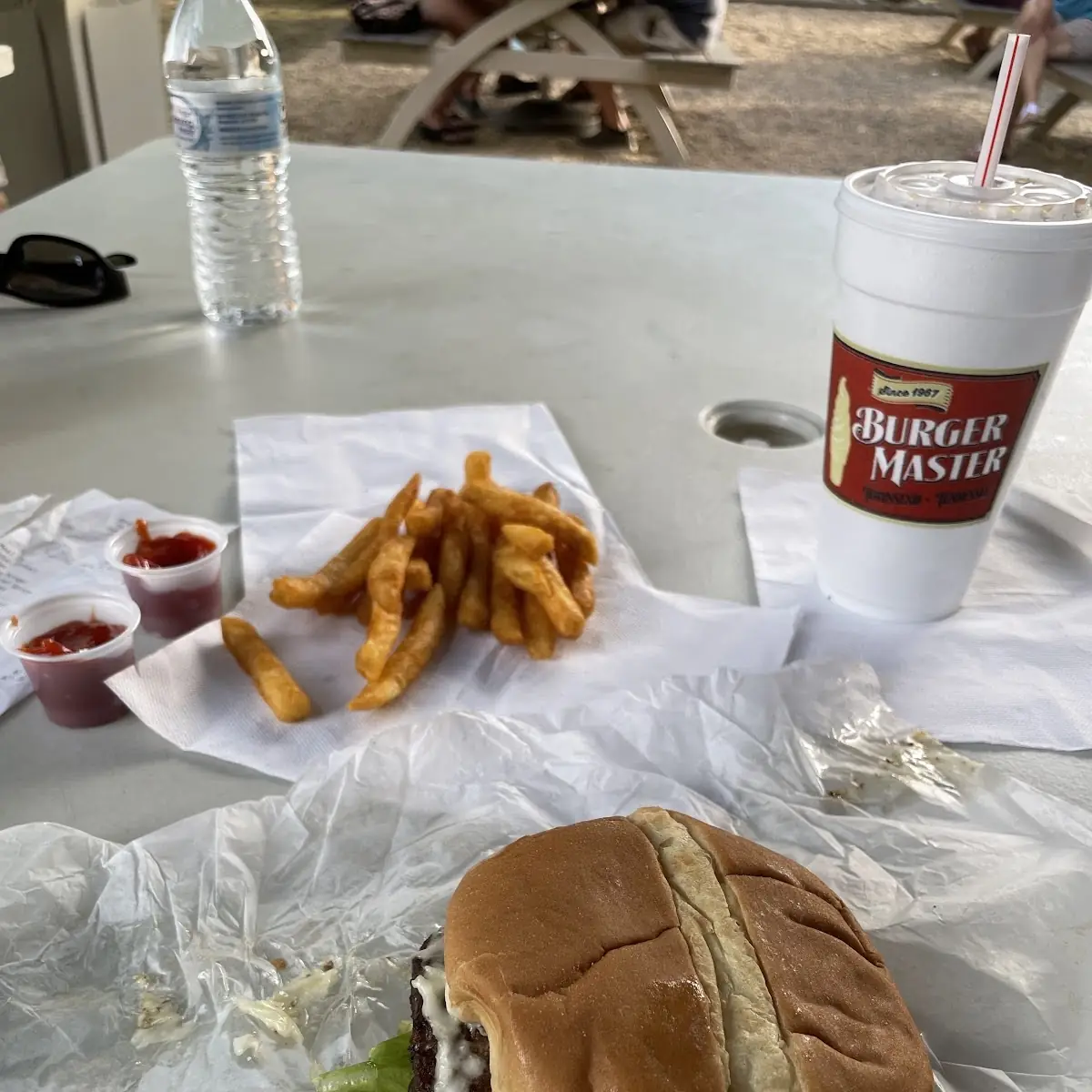 Cheese Burger with Fries