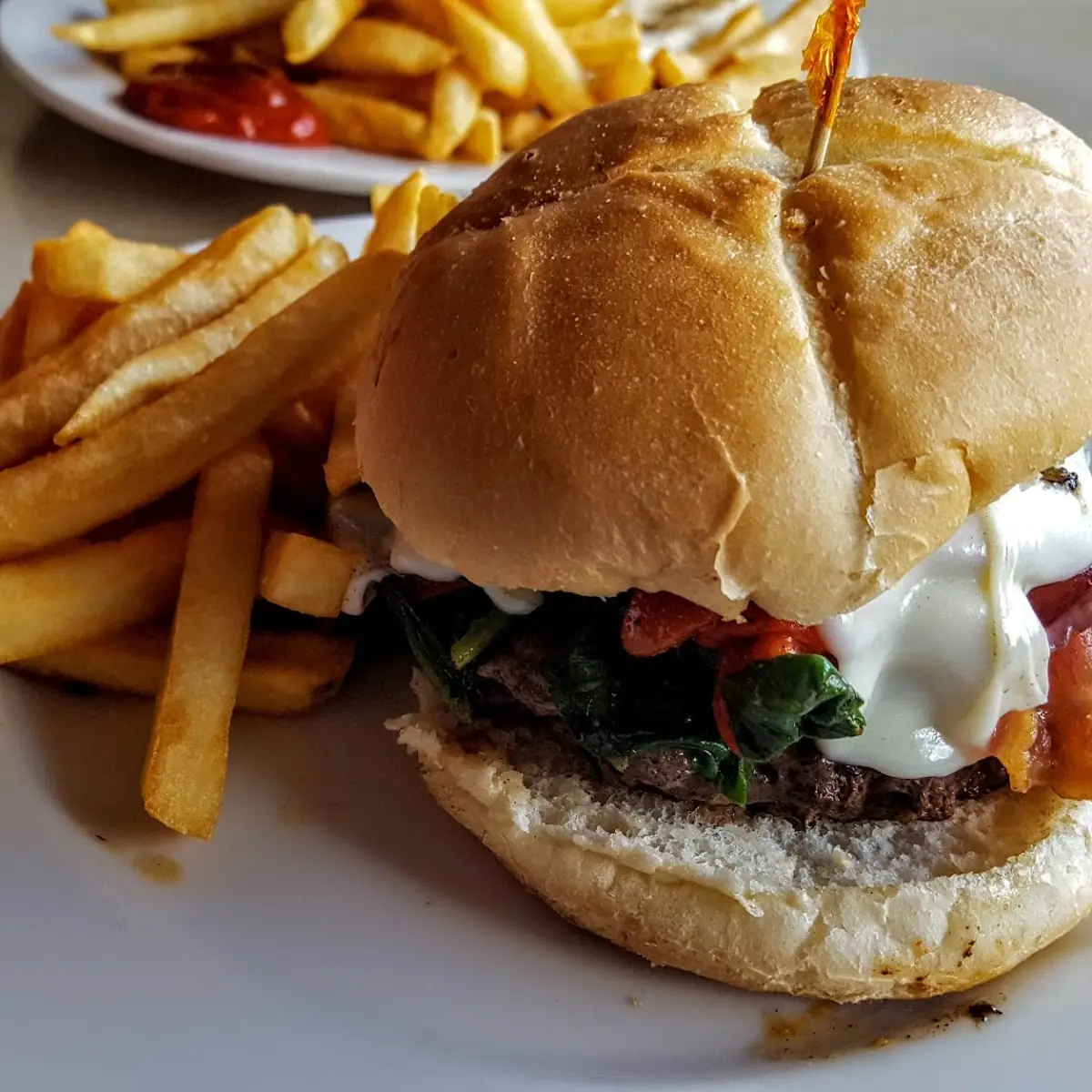 Italian Burger and Fries