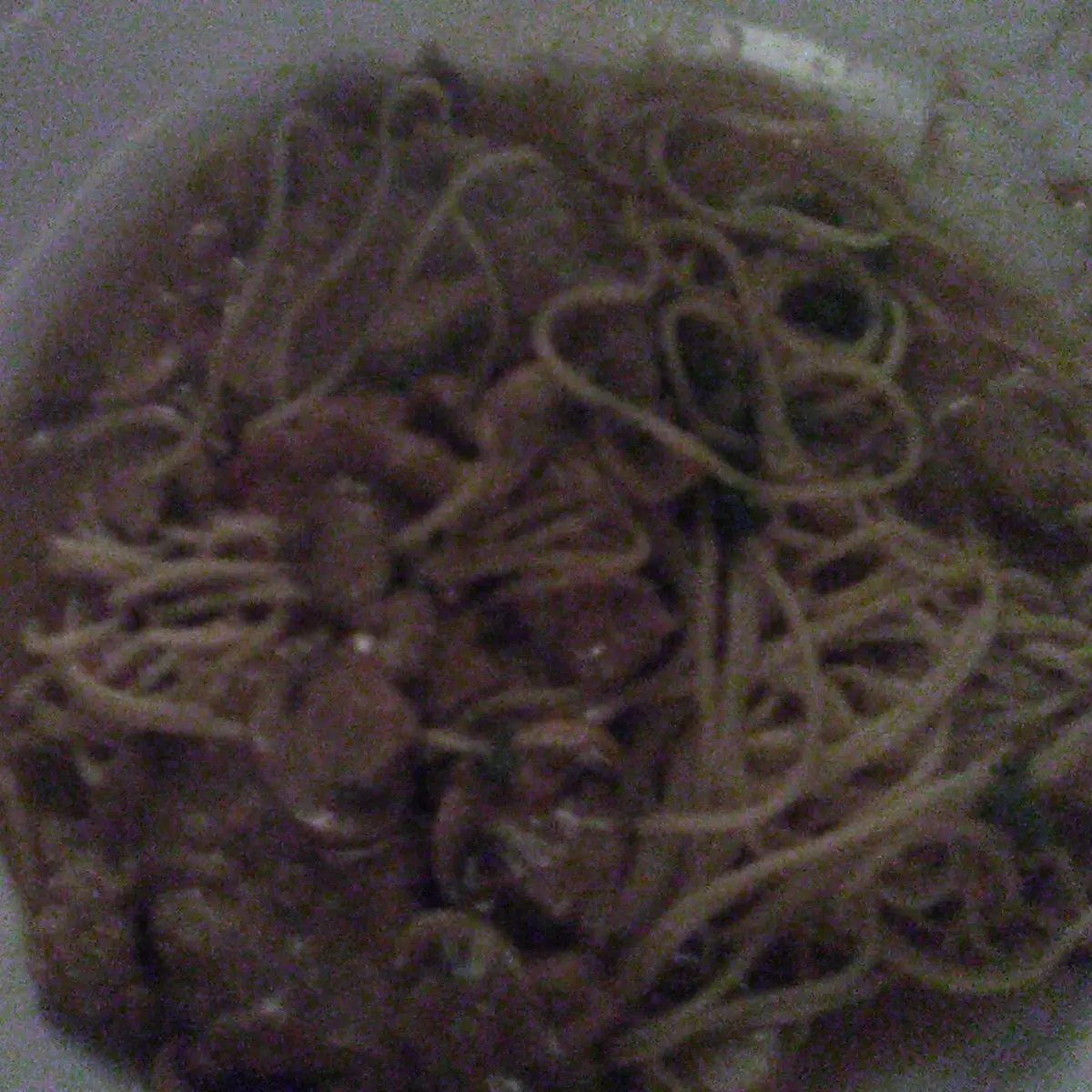 Veal Marsala