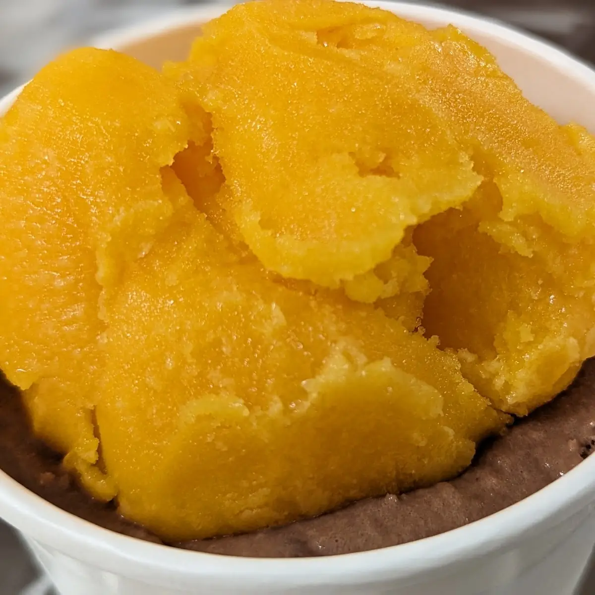 Mango Sorbet with Chocolate Ice Cream