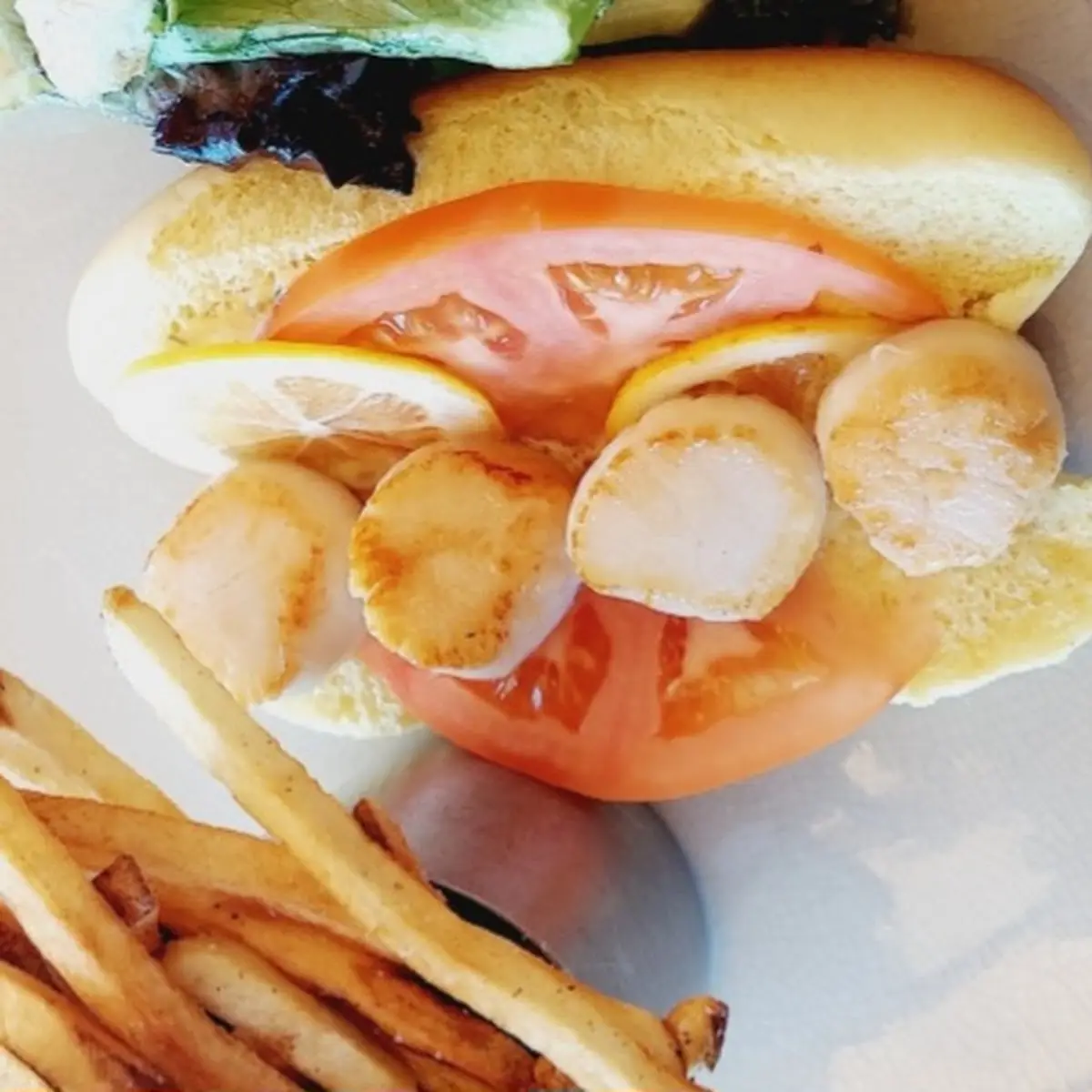 Hot Dog Bun