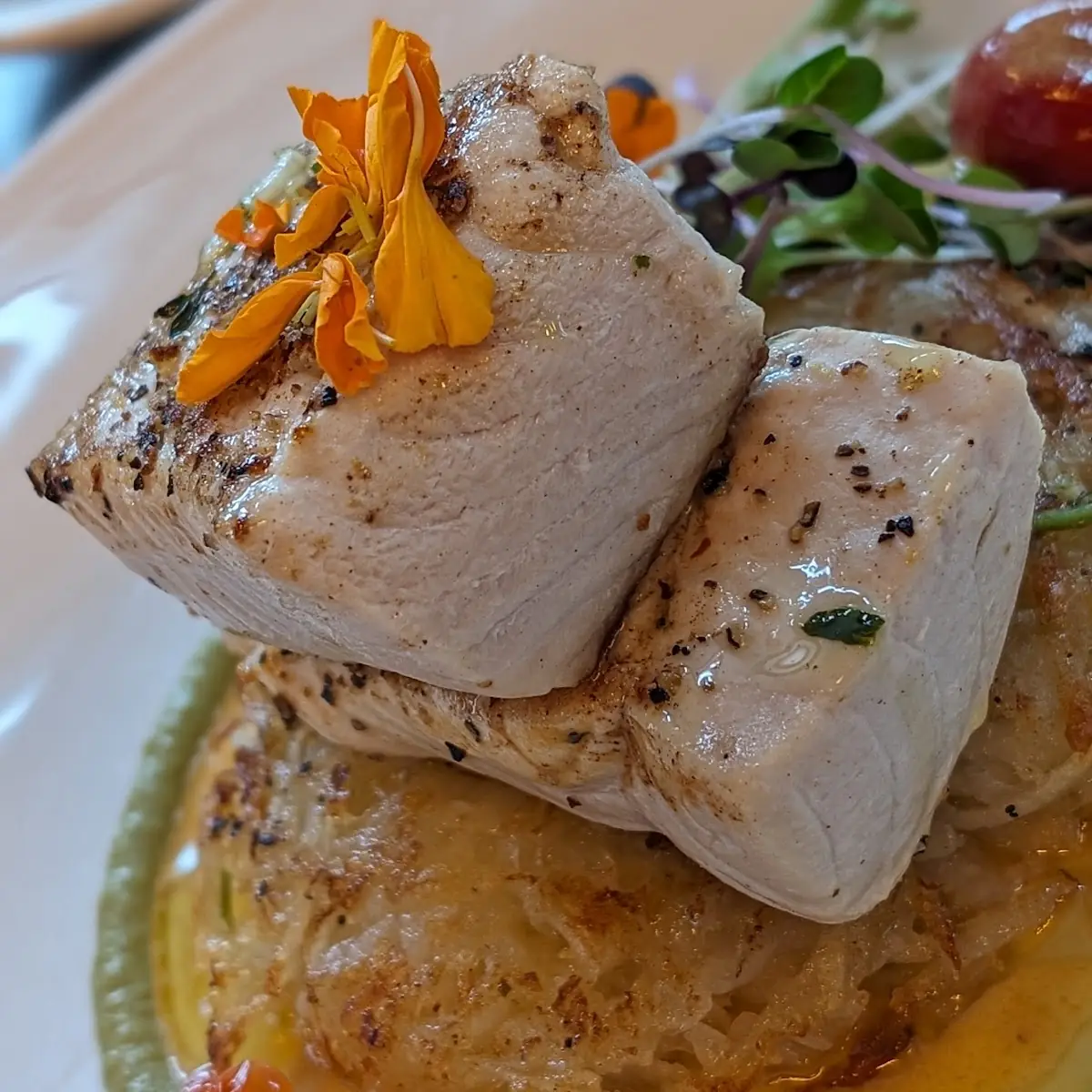 King Salmon