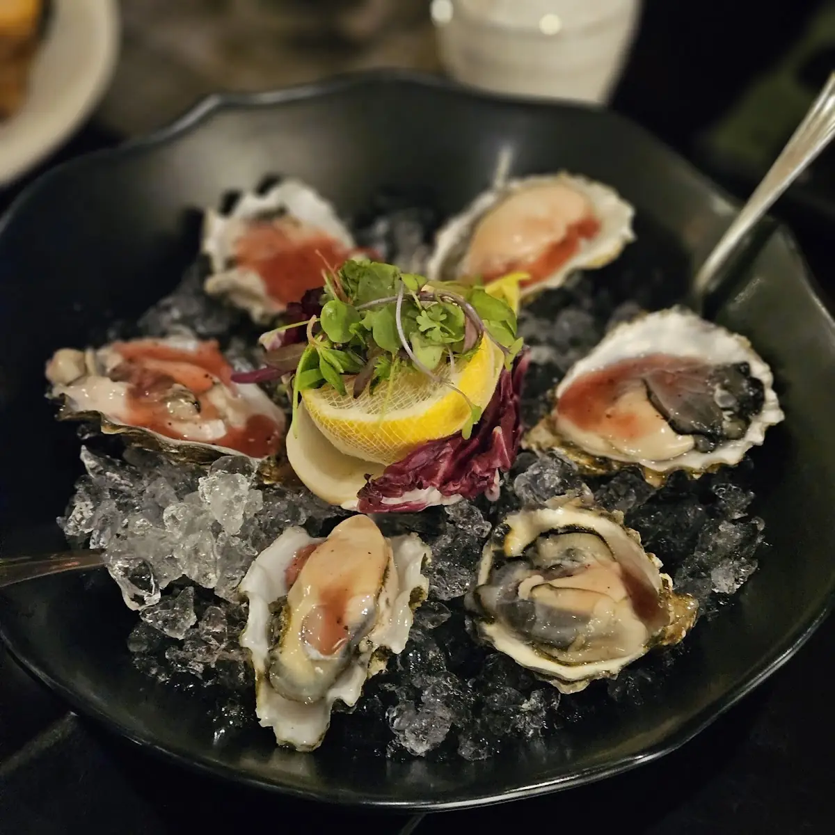 Oyster Shooter