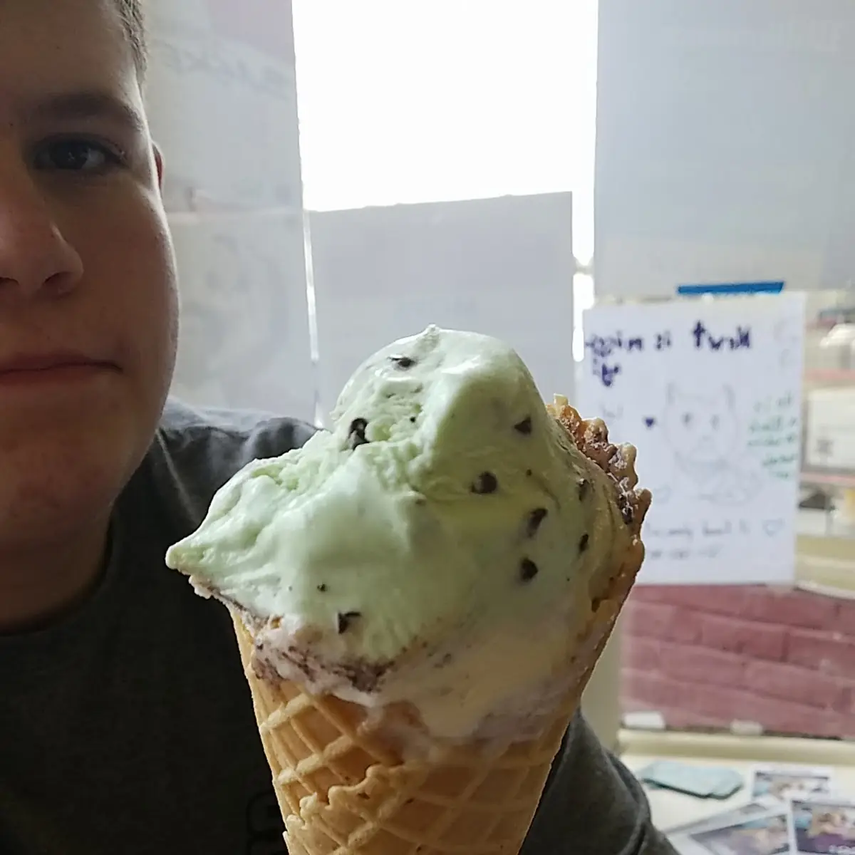 Chocolate Chip Mint