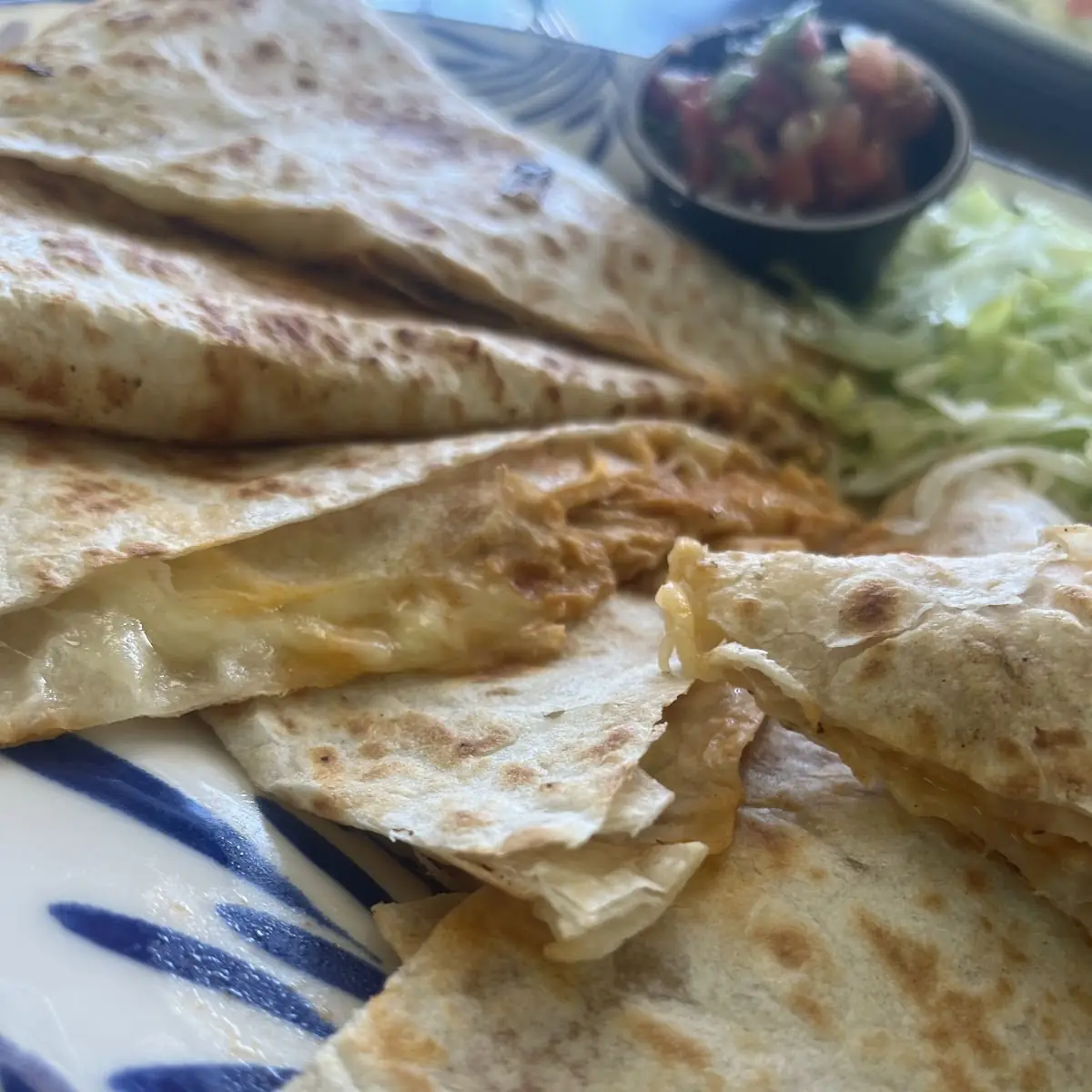Chicken Quesadilla