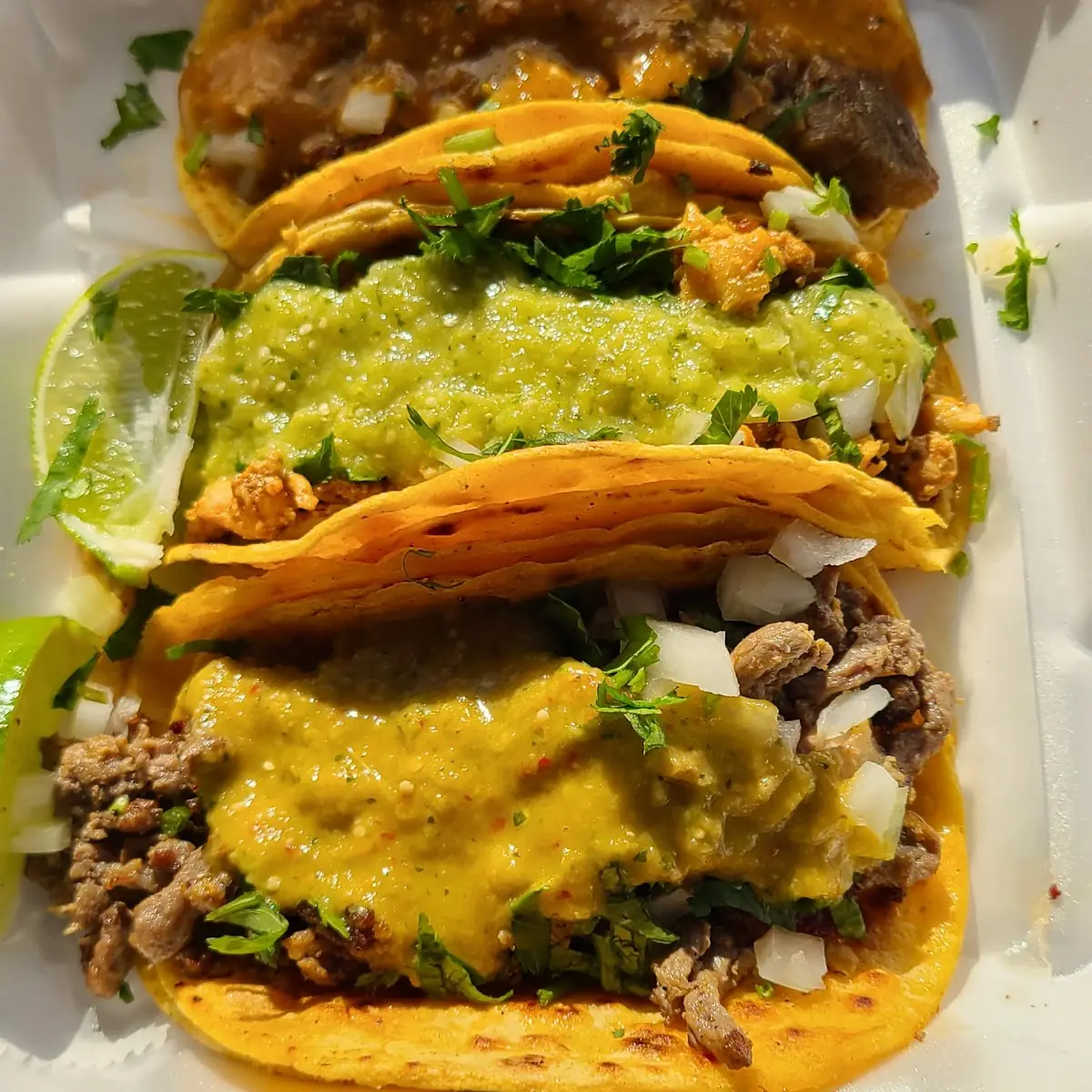 Pork Steak and Chicken Tacos