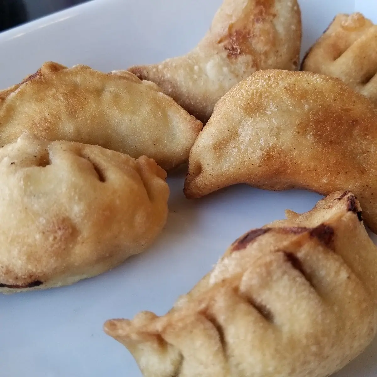 Pork Fried Dumplings