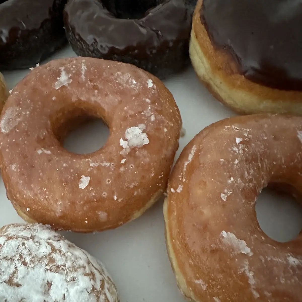 Doughnut