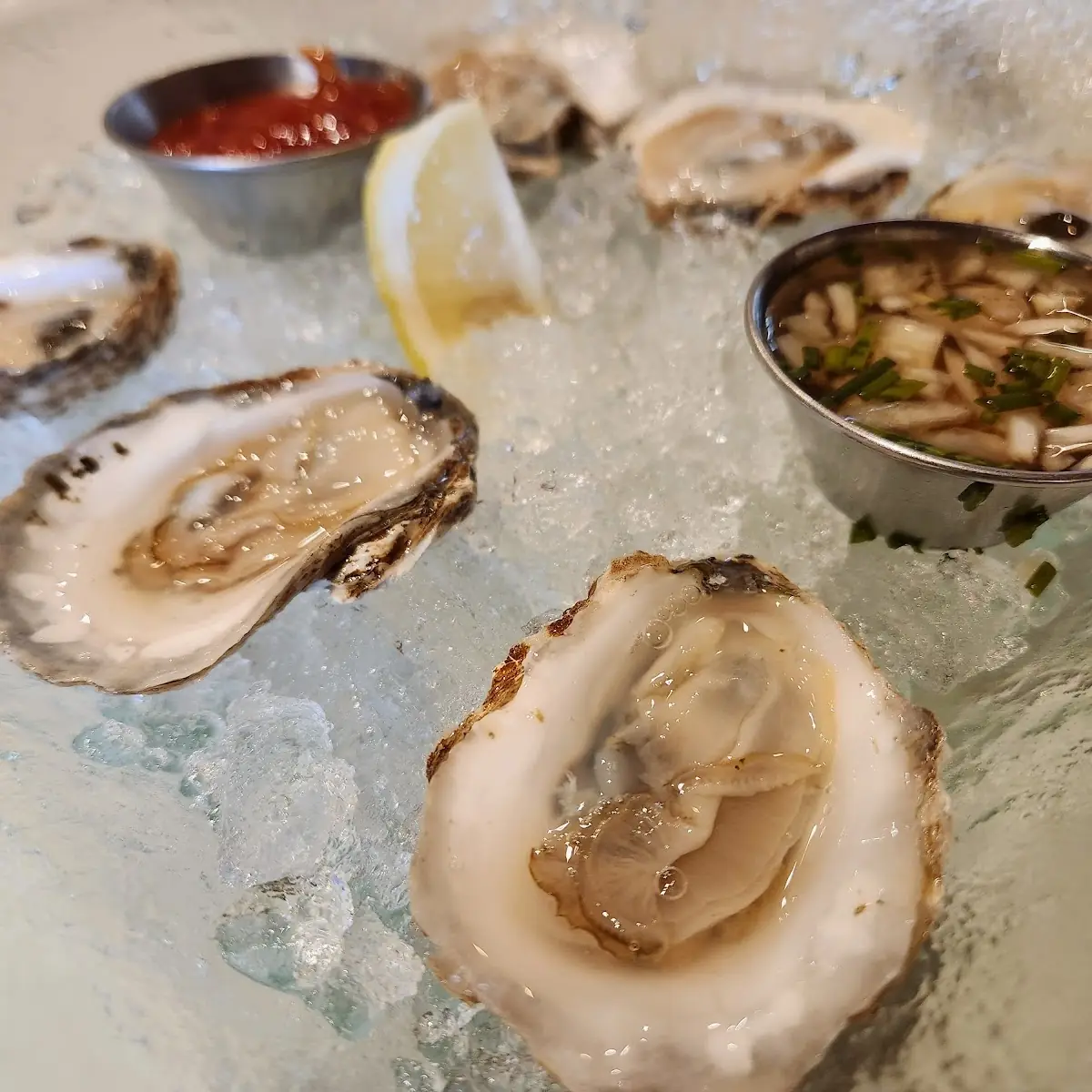 Raw Oysters on Ice with Sauce