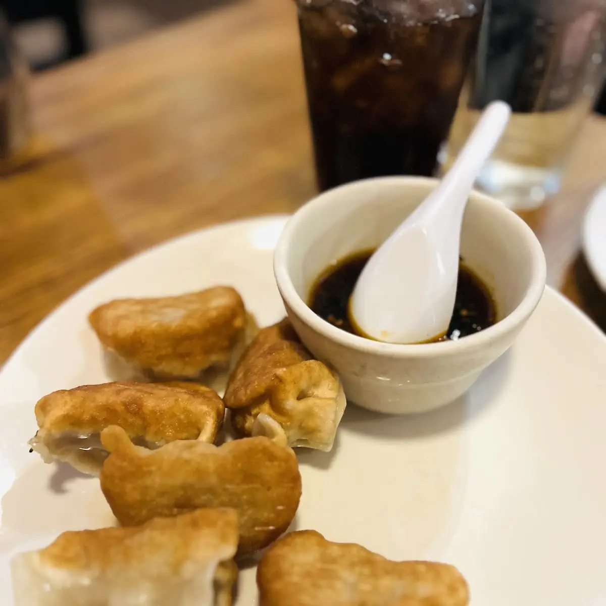 Pan Fried Dumplings
