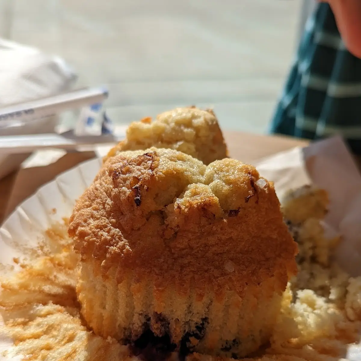 Blueberry Muffin