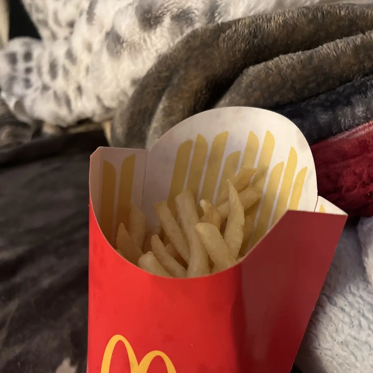 Mcnuggets & 2 Medium Fries