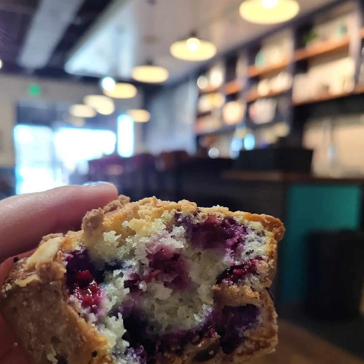 Blueberry Muffin
