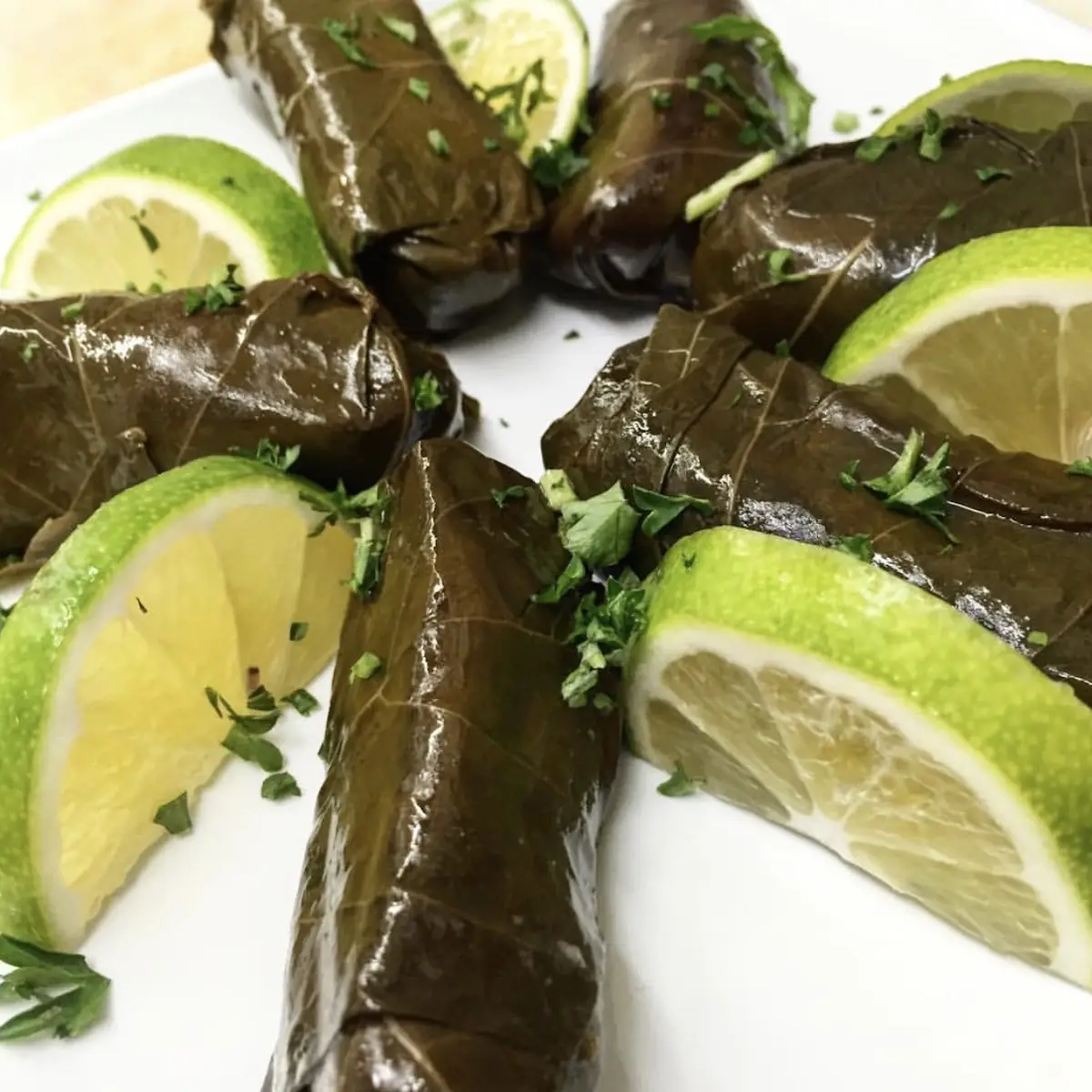 Grape Leaves