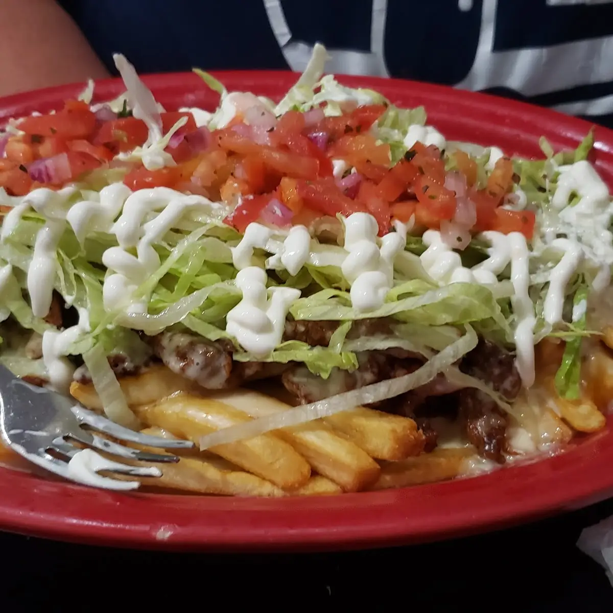 Carne Asada Fries