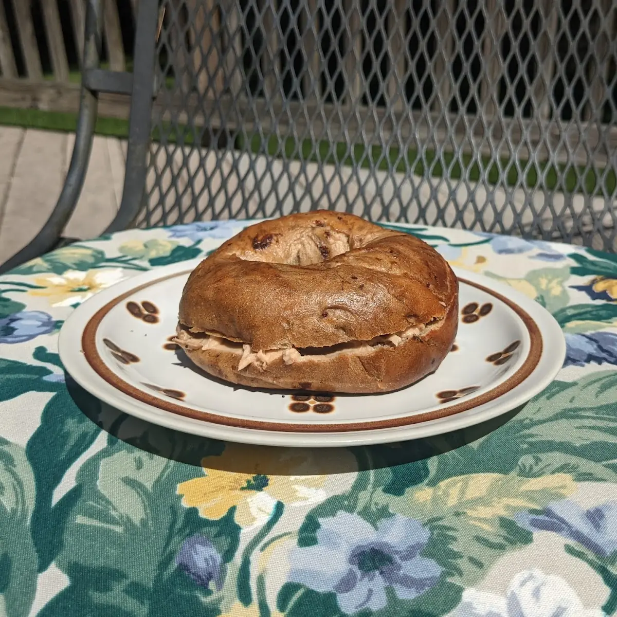 Cinnamon Raisin Bagel