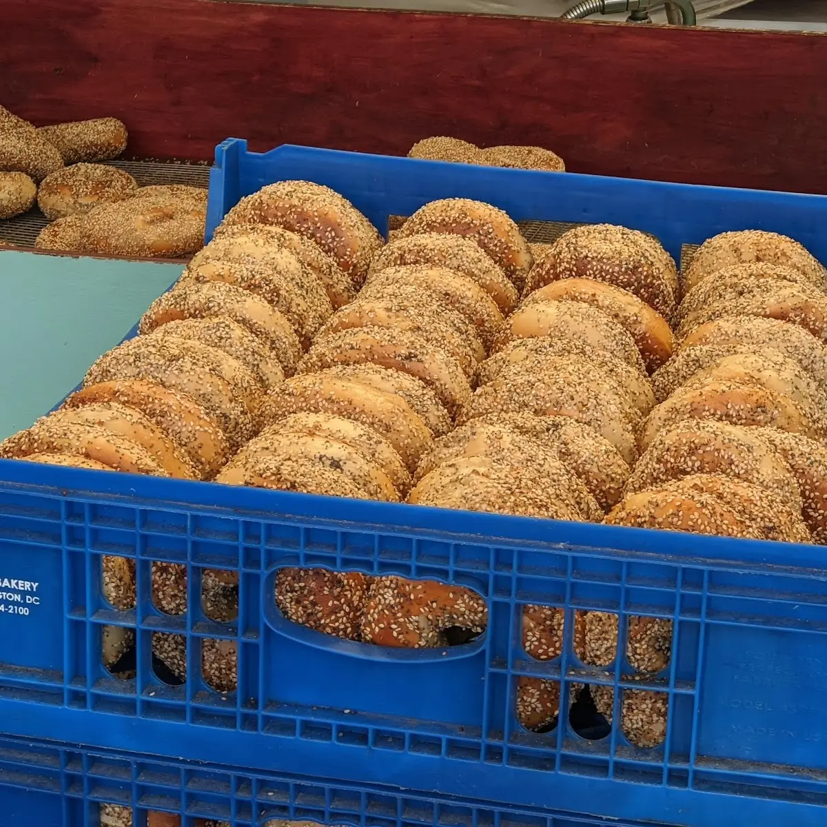 Everything Bagels
