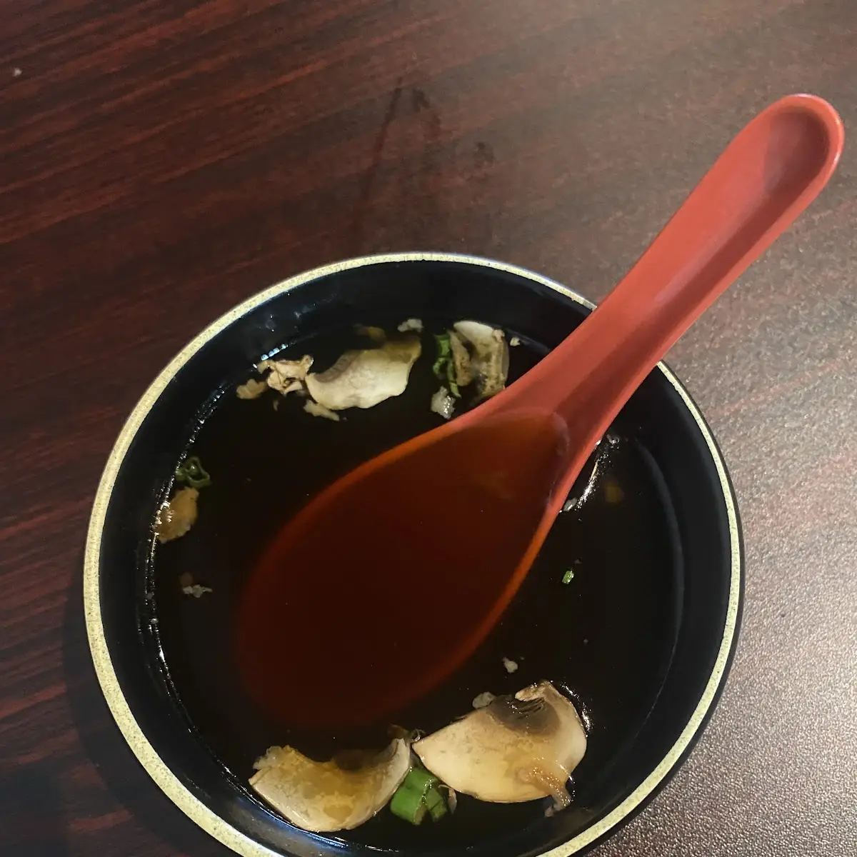 Dumpling Soup