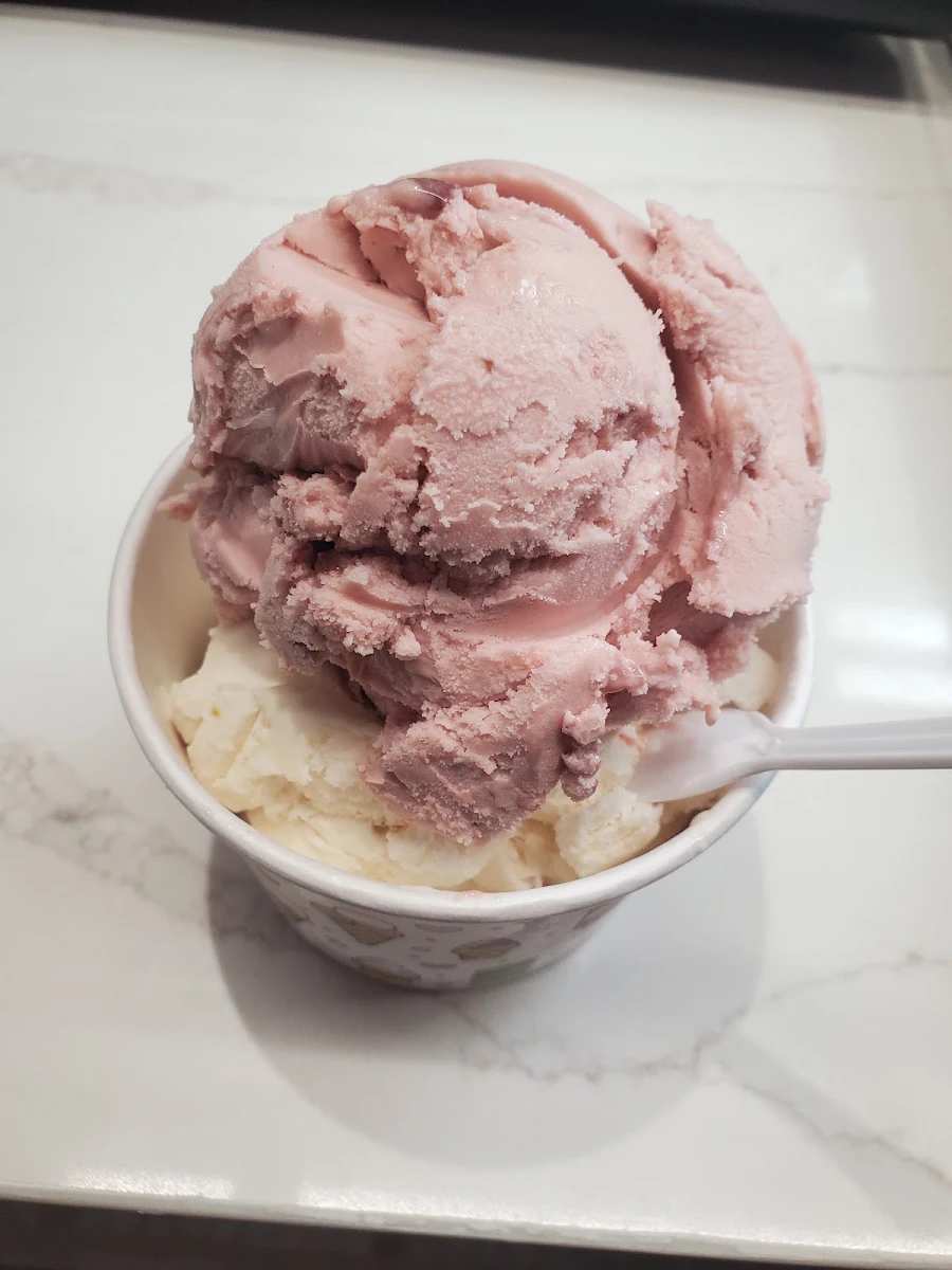 Black Cherry & Peach Gelato