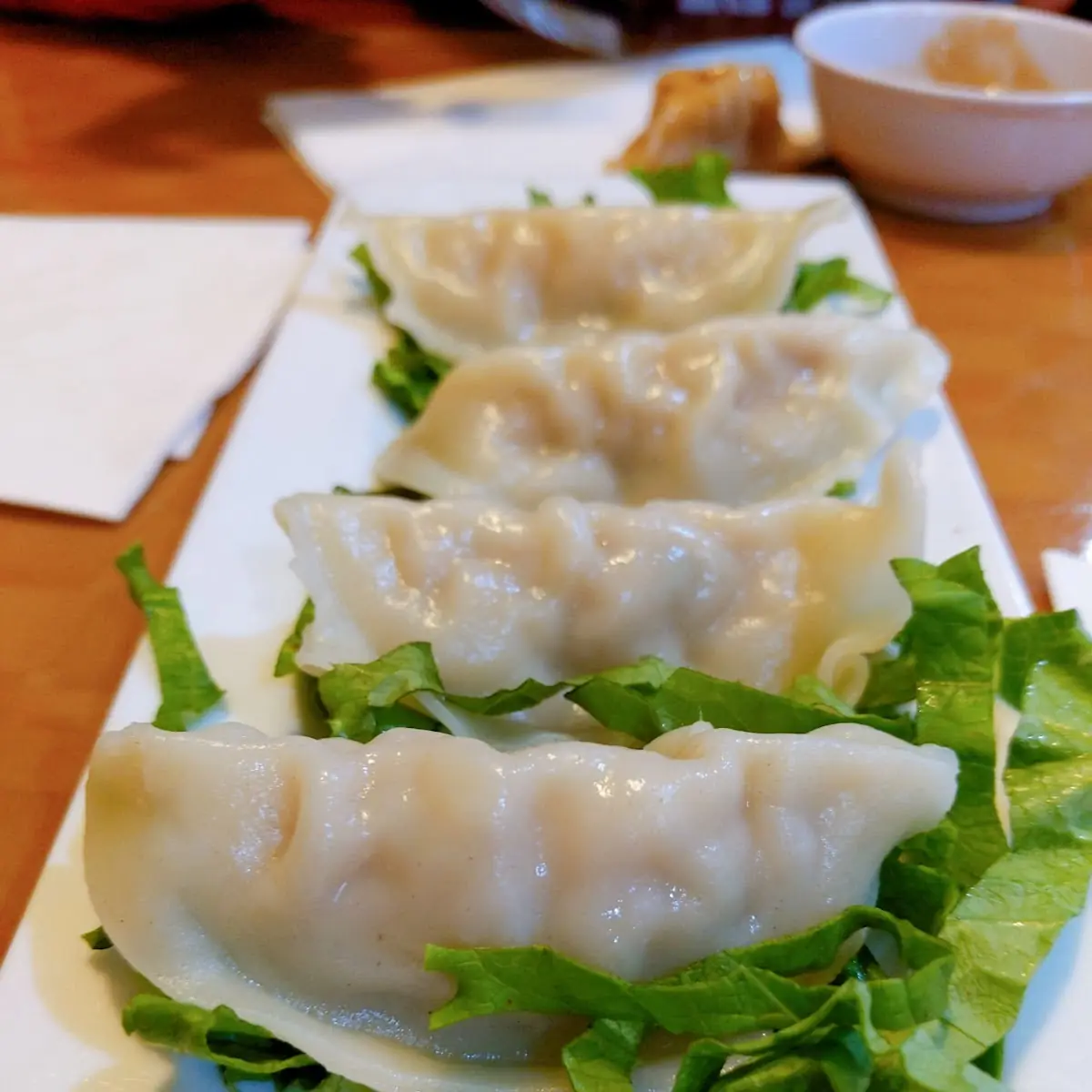 Steamed Dumplings