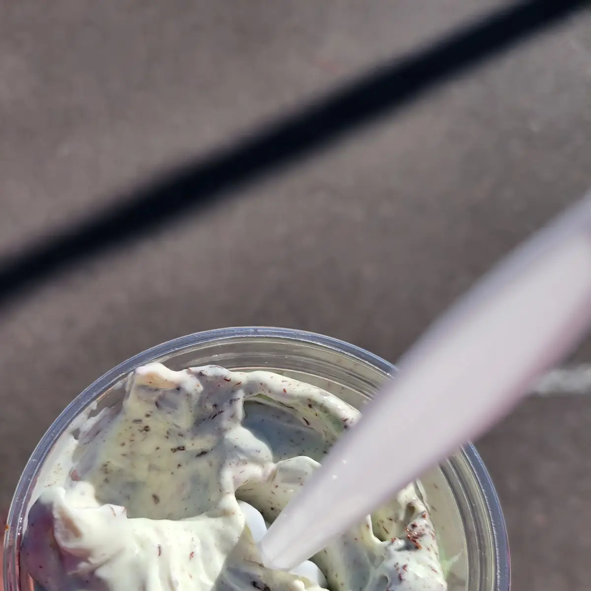 Mint Chocolate Chip Concrete