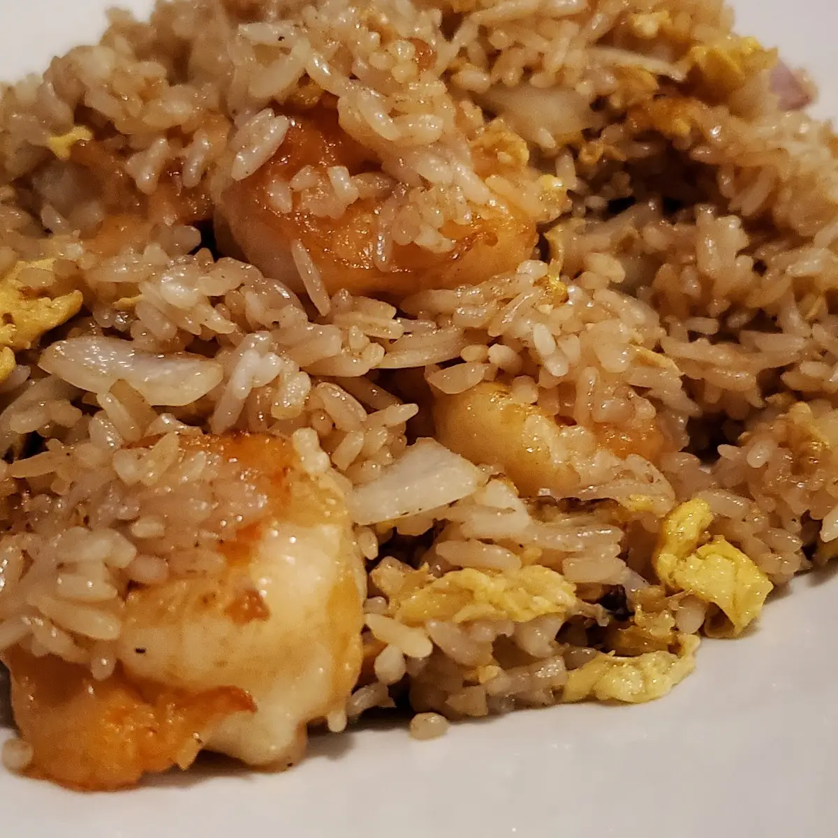 Salmon Fried Rice