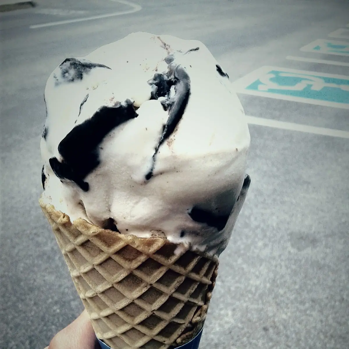 Peanut Butter Moose Tracks