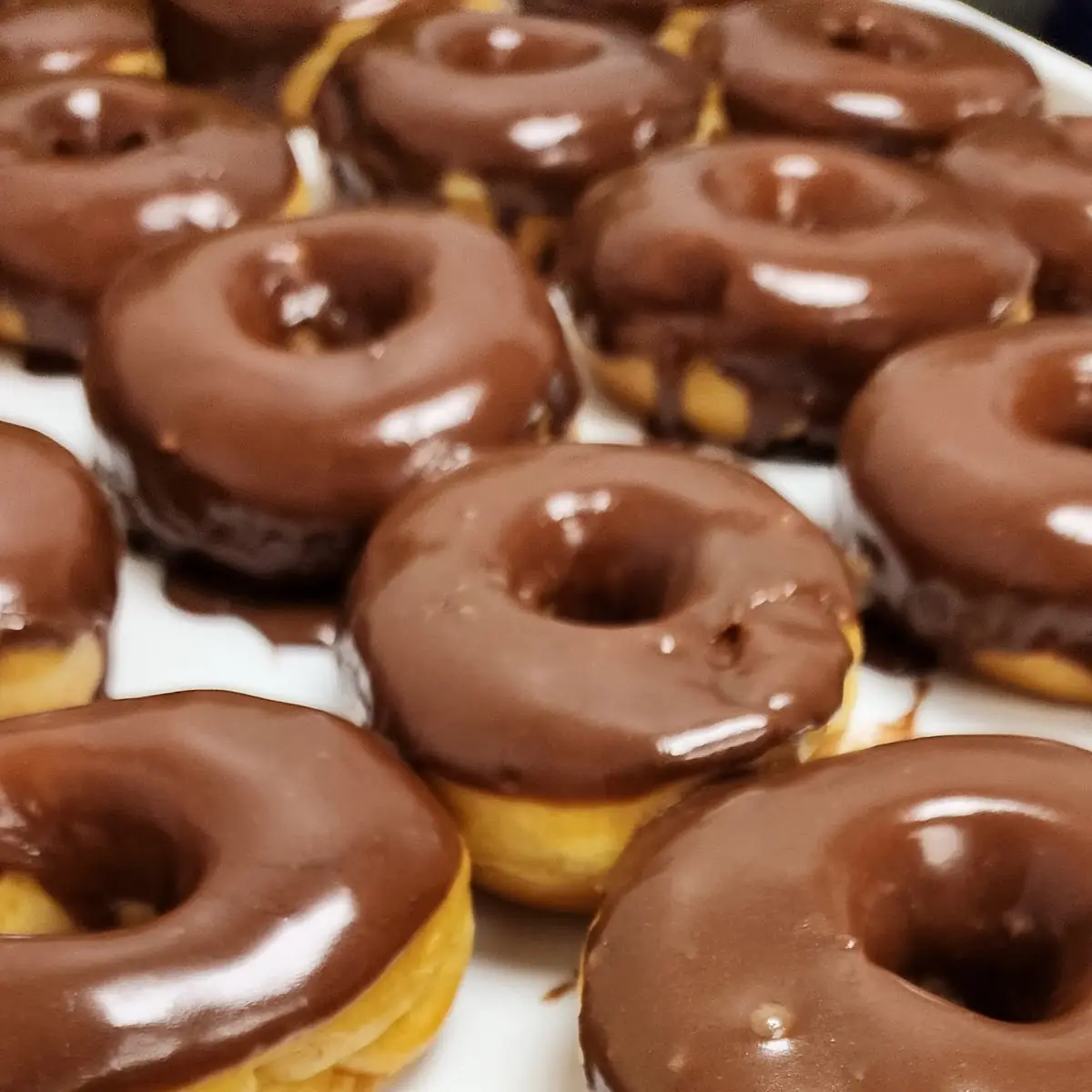 Glaze and Chocolate Donut