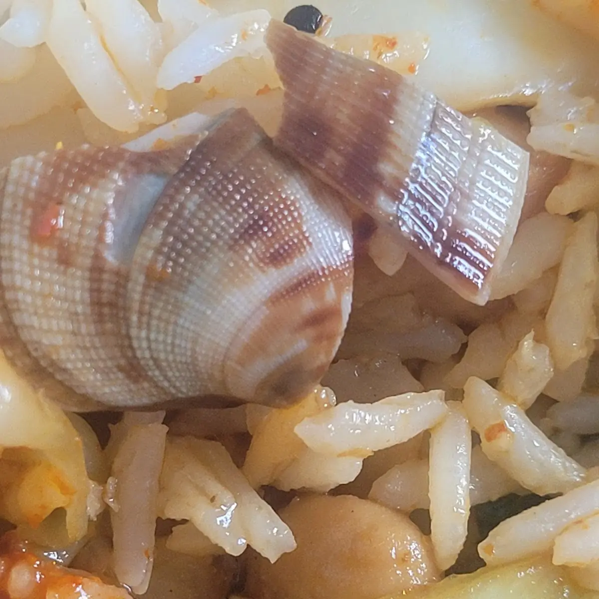 Chop Suey Chicken