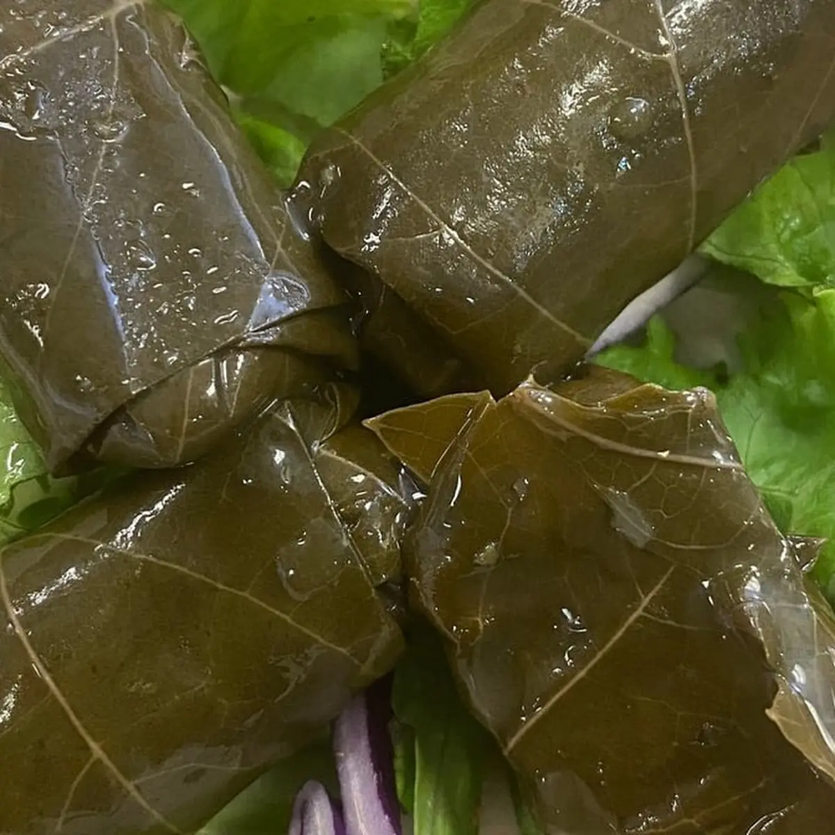 Grape Leaves