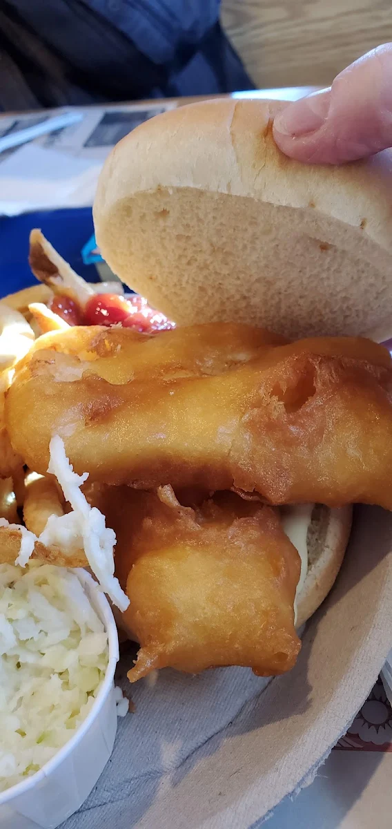 Fish Burger Platter