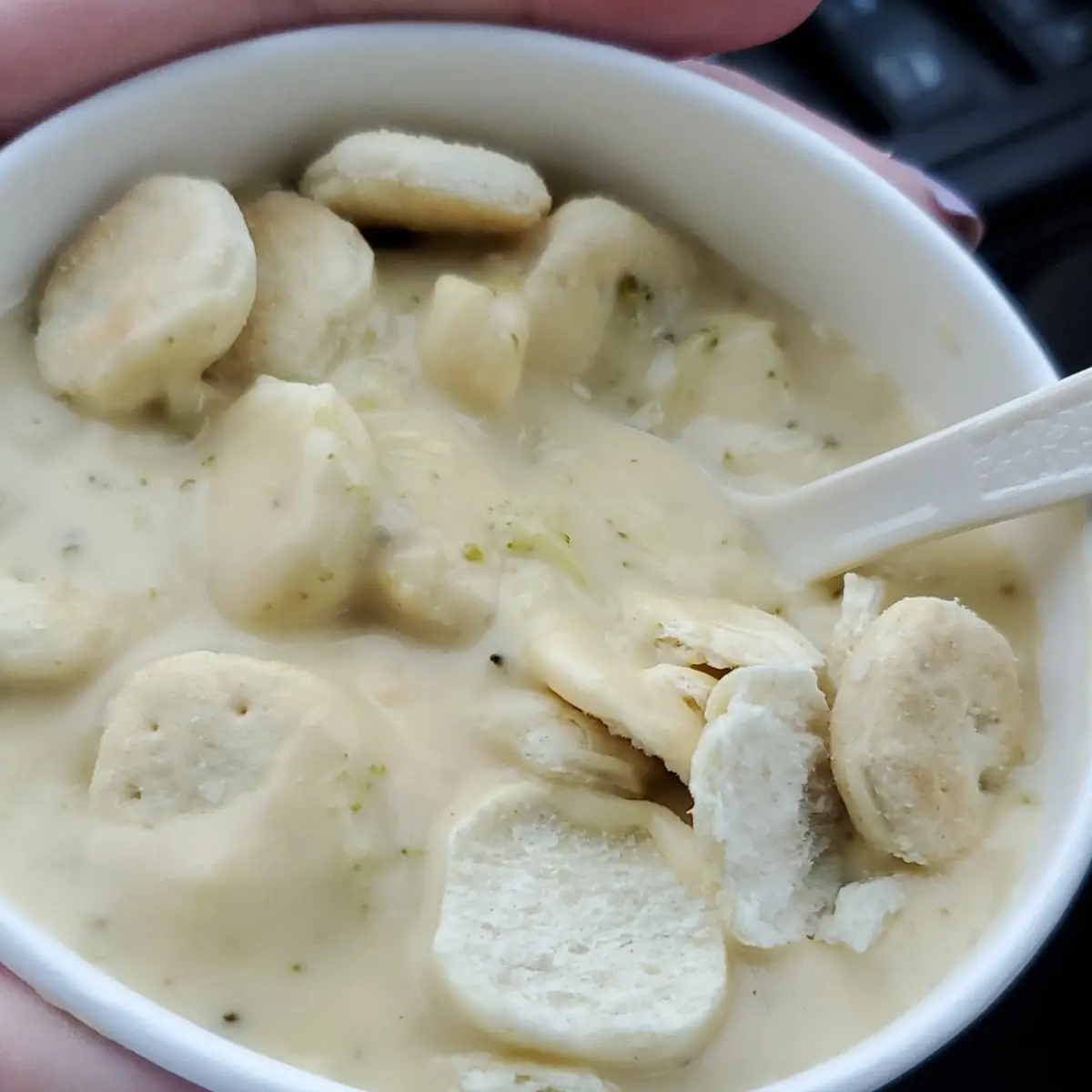 Clam Chowder