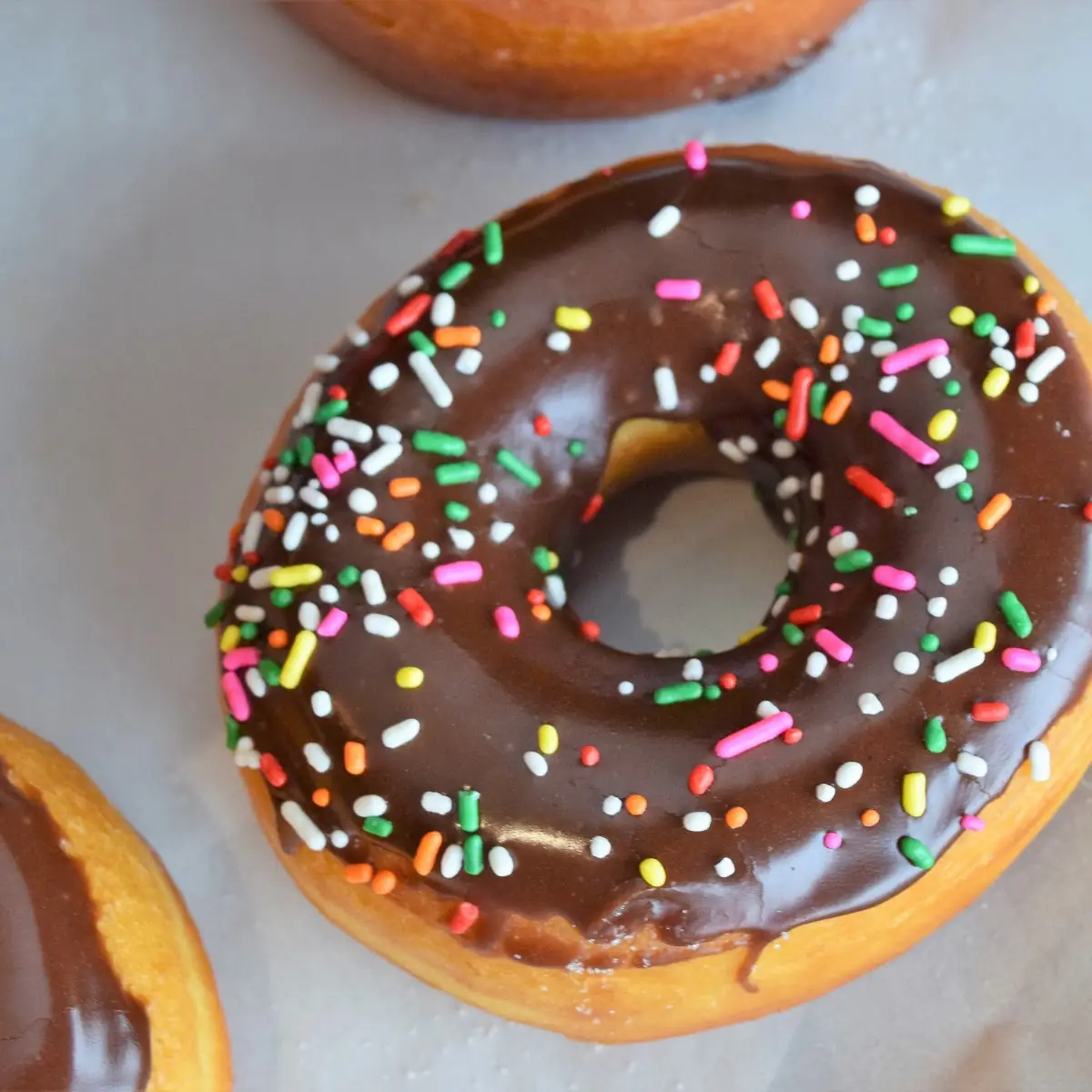 Chocolate Covered Donut