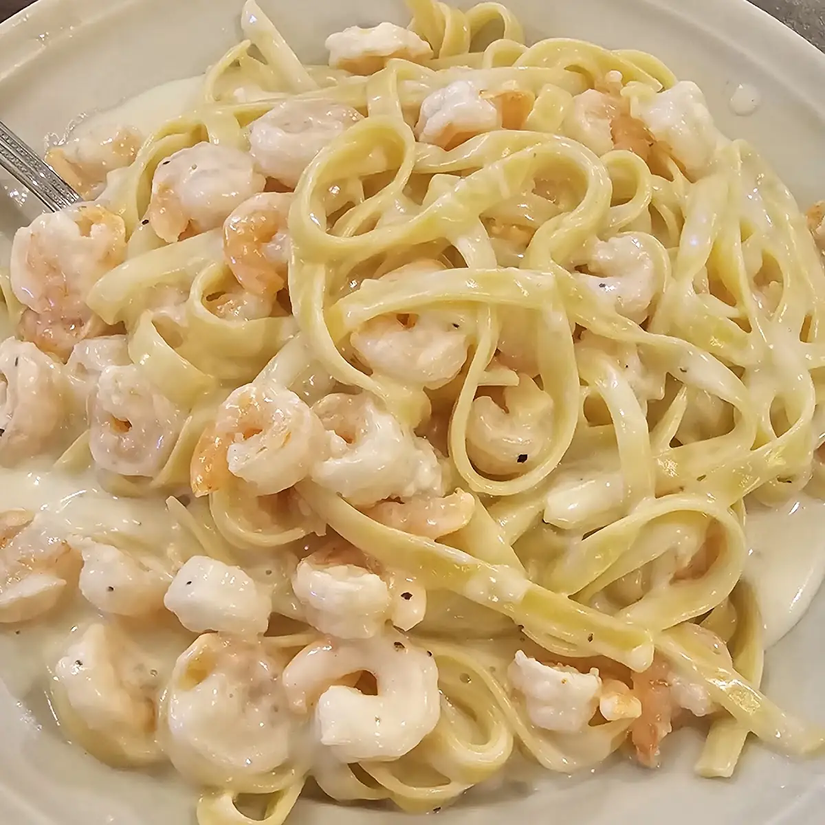 Shrimp Alfredo
