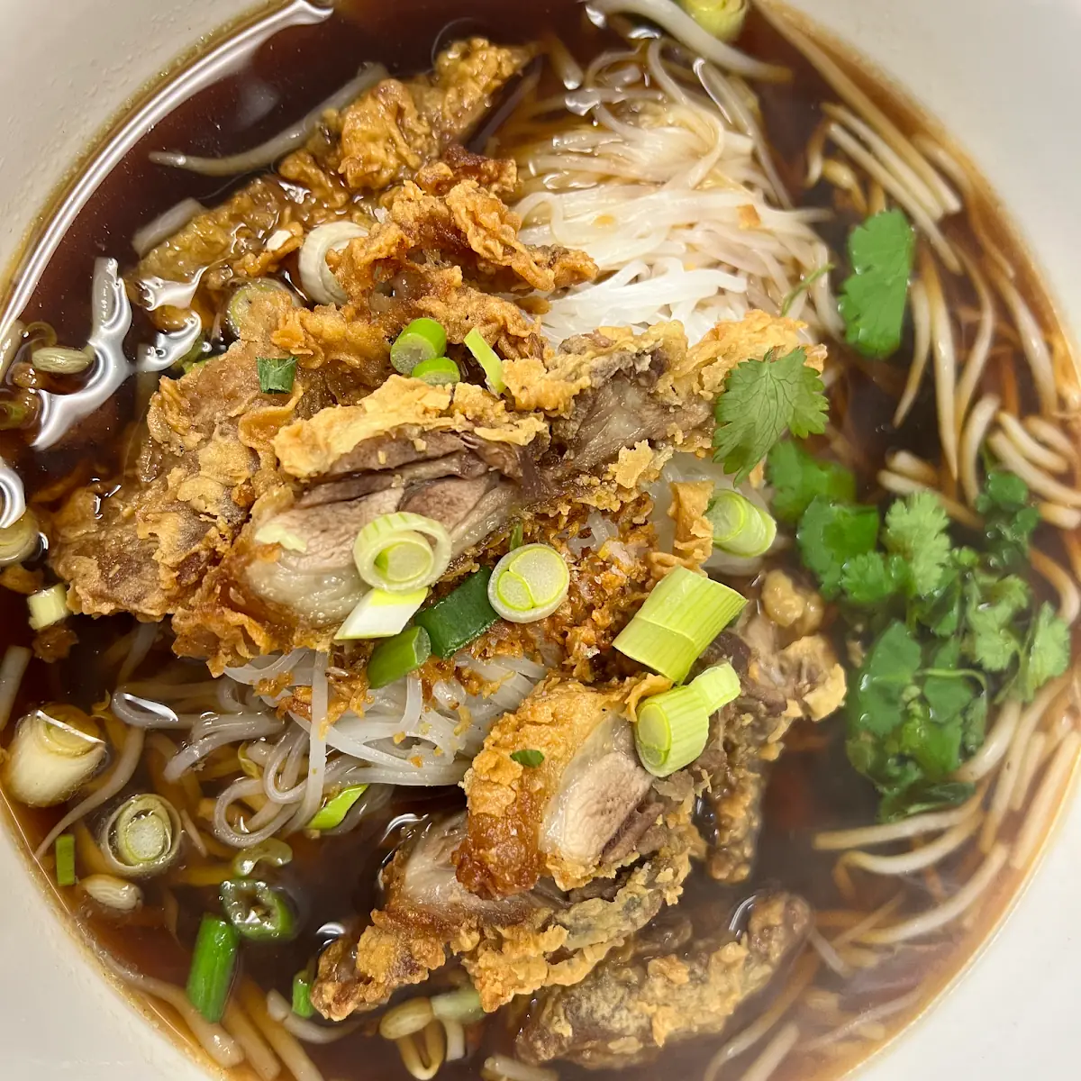 Crispy Duck Noodle Soup